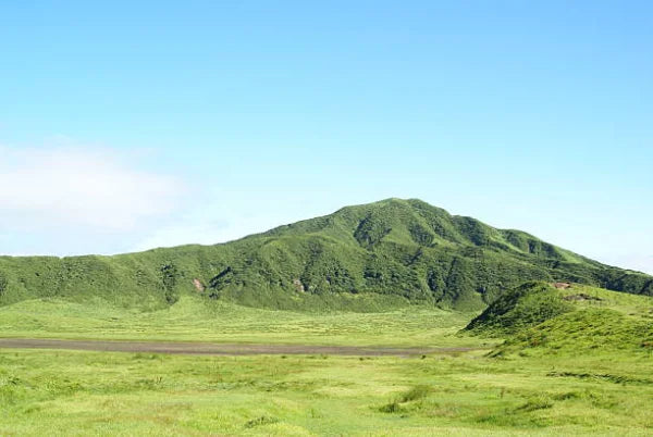 Kumamoto es una de las regiones productoras de te japones sita en Kagoshima