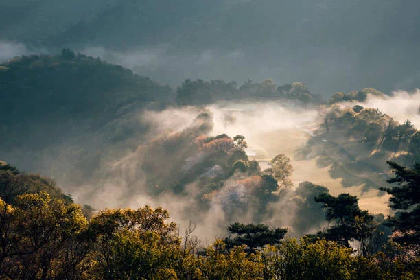 Tokushima