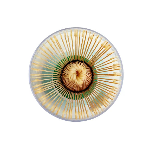 CHASEN batidor escobilla bambú té MATCHA