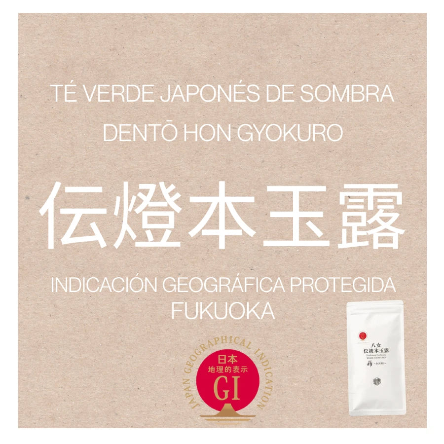 TÉ VERDE dentō hon GYOKURO calidad superior IGP Hoshino YAME 50 g