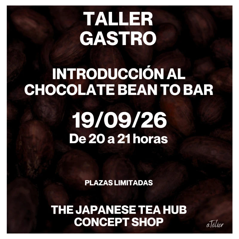 TALLER presencial exclusivo introducción al chocolate BEAN TO BAR GIJÓN