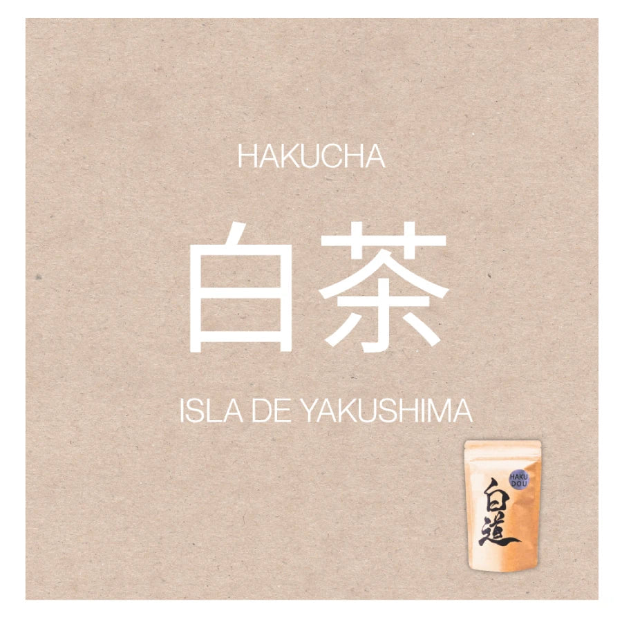 HAKUCHA té blanco orgánico japonés YAKUSHIMA HAKUDŌ cosecha 2026