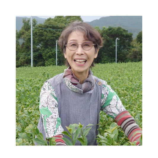 PREORDEN TÉ VERDE NUEVO orgánico Morimoto Kamimizu SHINCHA 2026