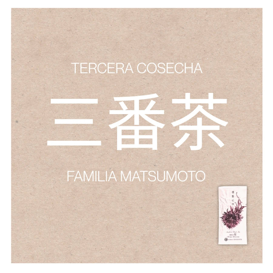 PREORDEN TÉ NEGRO japonés ahumado wakocha Matsumoto Kaneroku SHIMADA 50 g