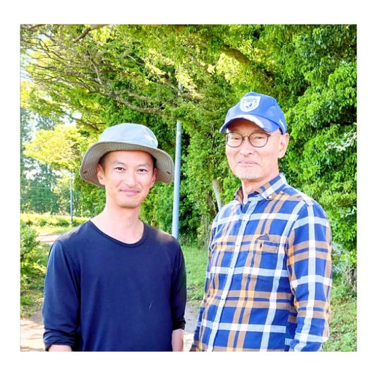 MATCHA CULINARIO orgánico alto rendimiento lattes KIRISHIMA 2025