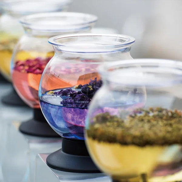 HARIO infusor rápido para té Tea Dripper BOROSILICATO