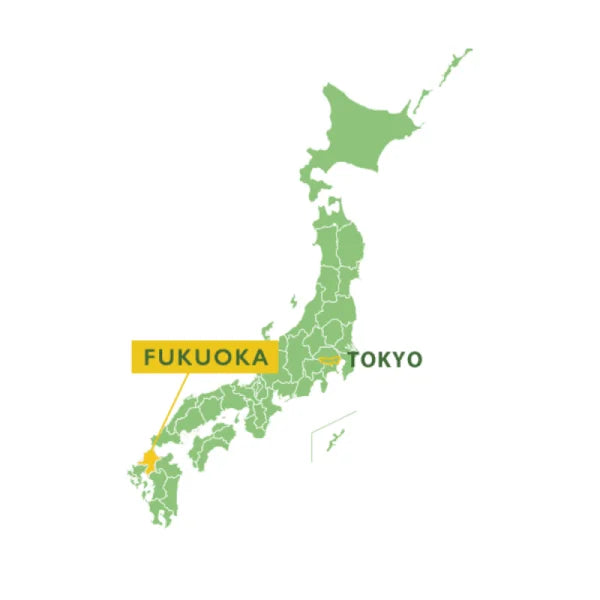 TÉ MATCHA CEREMONIAL origen único HOSHINO YAME 40 g