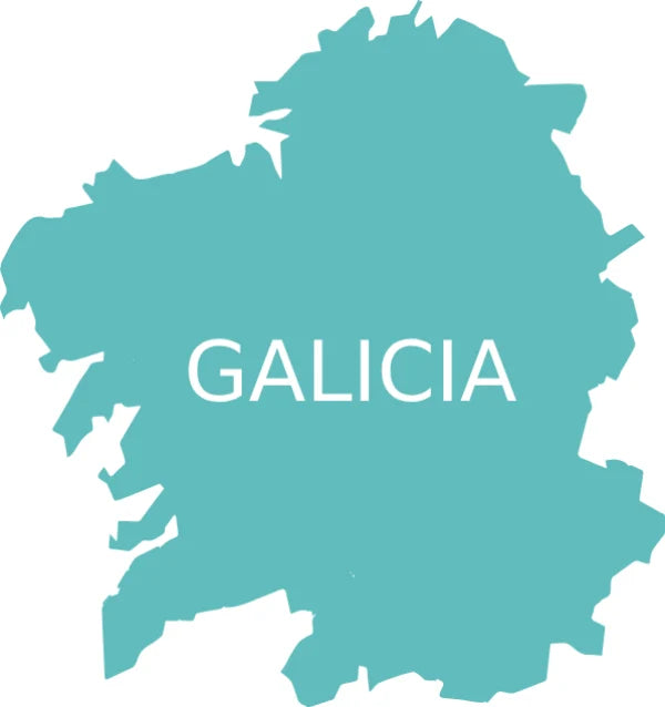 CHOCOLATE artesano de origen Galicia Essenzo tabletas BEAN TO BAR