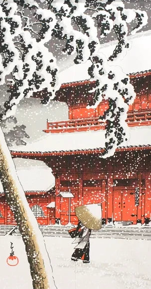 NOREN cortina japonesa varios diseños