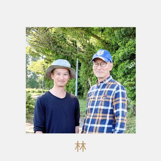 MATCHA iri GENMAICHA sencha KIRISHIMA 100 gr