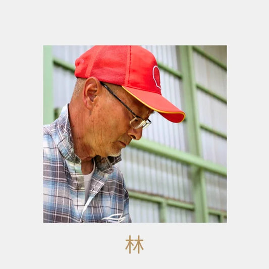 PREORDEN MATCHA CEREMONIAL orgánico Asatsuyu Nomikoto Ichibancha usucha KIRISHIMA 30 g