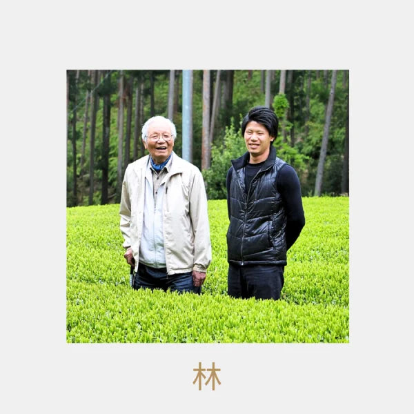 TÉ VERDE KARIGANE kukicha orgánico familia HAYASHI MIE 100 gr