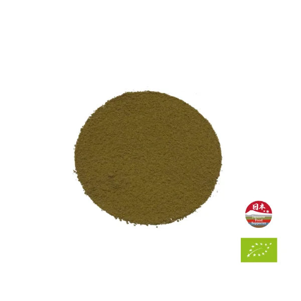 TÉ VERDE TOSTADO hojicha latte orgánico Kirishima KIT