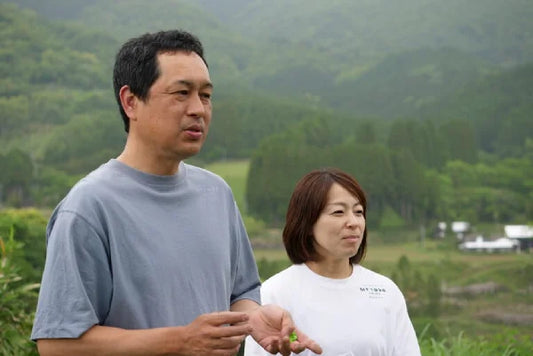 PREORDEN TÉ VERDE SENCHA asamushi primera cosecha Yamakai KAMIMIZU 100 g