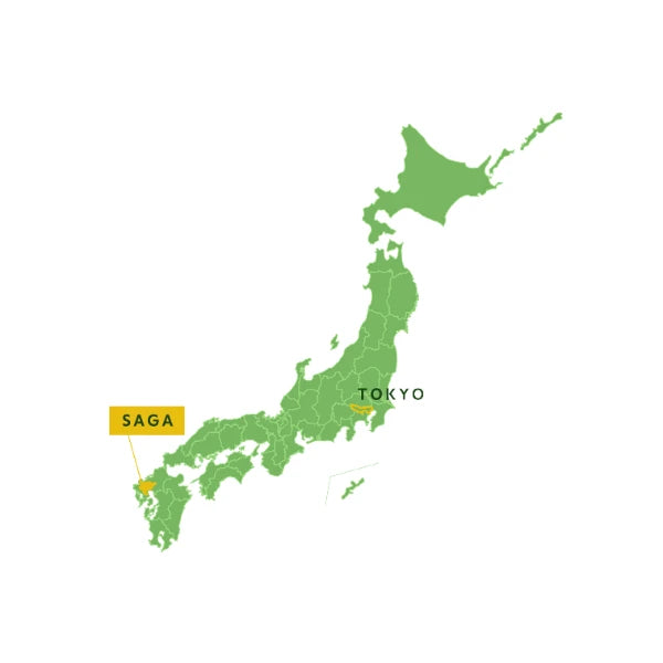 KARATSU YAKI matcha bol cuenco chawan 200 ml