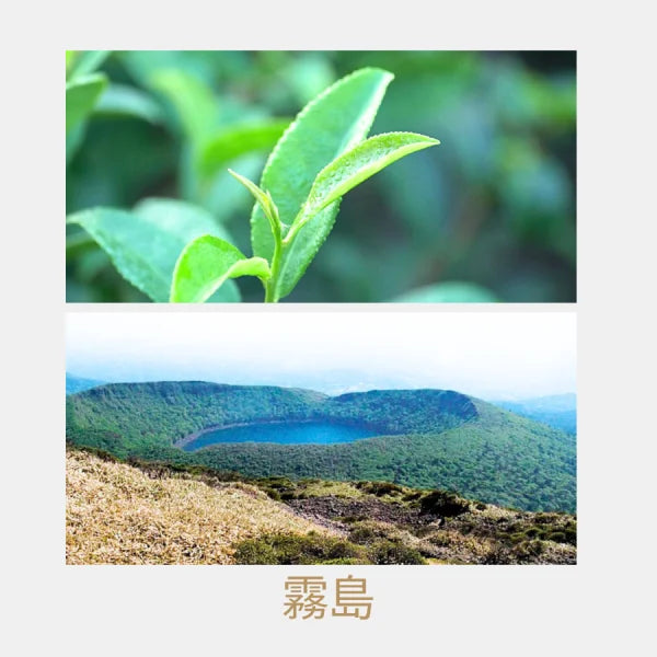 SENCHA te verde Kirishima Kanaya Midori ASAMUSHI 100 g