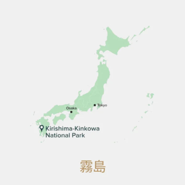 TÉ VERDE TOSTADO hojicha latte orgánico Kirishima KIT