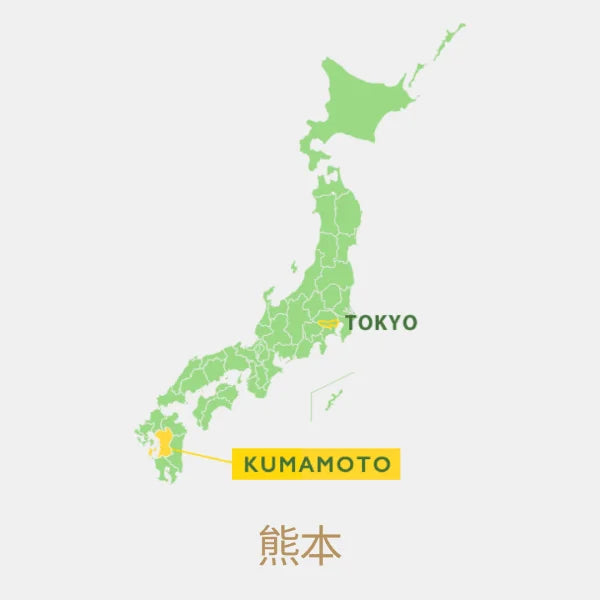 TÉ NEGRO JAPONÉS Kumamoto wakocha zairai MATSUMOTO 50 g