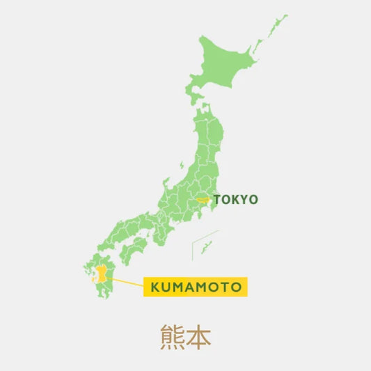 TÉ VERDE KAMAGURICHA procesado en wok KUMAMOTO 100 g