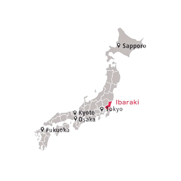 SALSA PONZU japonesa auténtica con katsuobushi y YUZU 300 ml