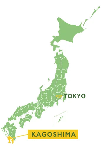 KOKUTO negro azúcar caña Okinawa Kagoshima 300 gr