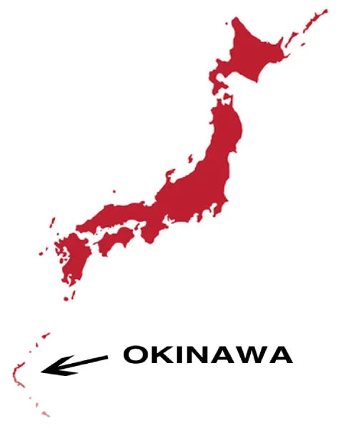 KOKUTO negro azúcar caña Okinawa Kagoshima 300 gr