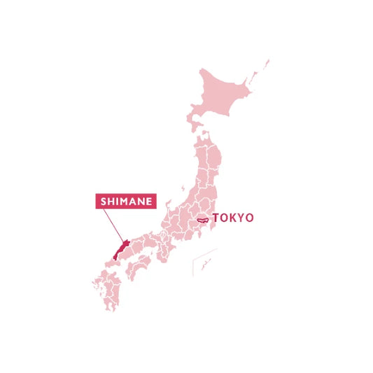 SENCHA te verde en hoja monovarietal Saemidori IZUMO 80 g