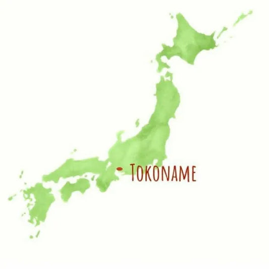 TOKONAME YAKI tetera japonesa yokode kyusu IRABO 350 ml