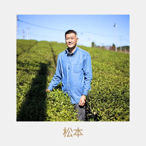 TÉ NEGRO JAPONÉS Kumamoto wakocha zairai MATSUMOTO 50 g