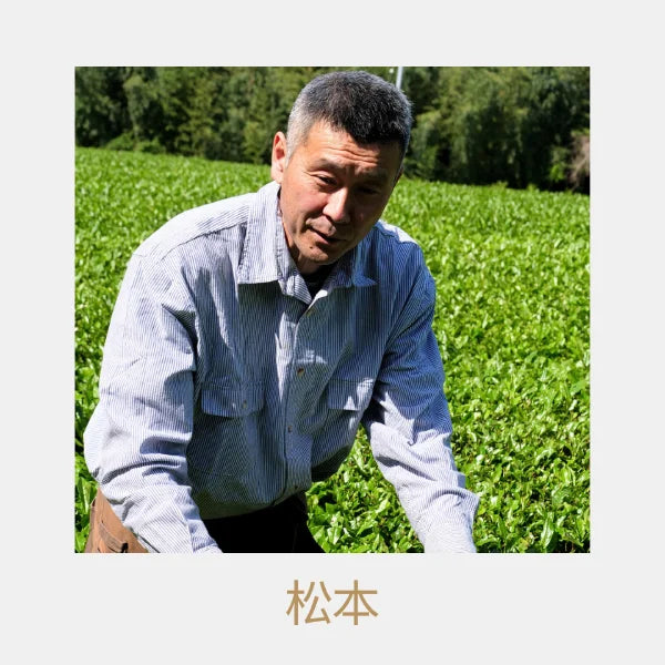 TÉ NEGRO JAPONÉS Kumamoto wakocha zairai MATSUMOTO 50 g