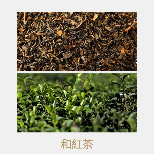 TÉ NEGRO JAPONÉS Kumamoto wakocha zairai MATSUMOTO 50 g