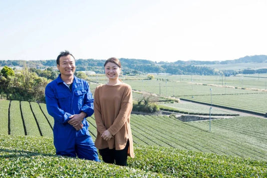 TÉ VERDE japonés tostado y ahumado hojicha 50 g