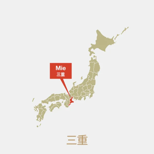 BANKO YAKI tetera japonesa cerámica TEPACHI 150 ml KYUSU