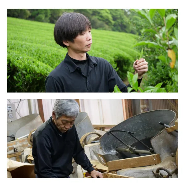 TÉ VERDE KAMAIRICHA procesado en wok MIYAZAKI 80 g