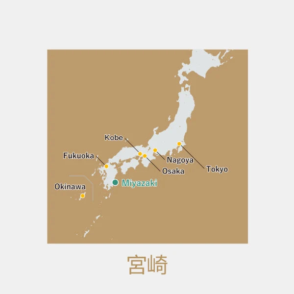 PREORDEN TÉ VERDE NUEVO orgánico Morimoto SHINCHA 2026