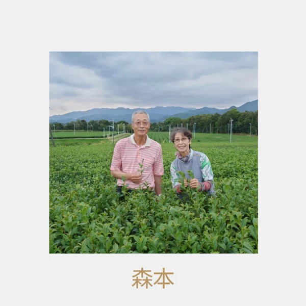PREORDEN TÉ VERDE shiraore orgánico kukicha superior MIYAZAKI 100 g