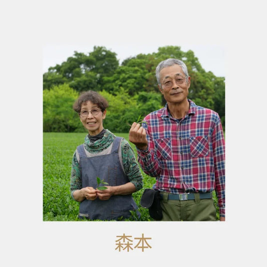 TÉ VERDE KABUSECHA orgánico Tokujō 50 g MIYAZAKI