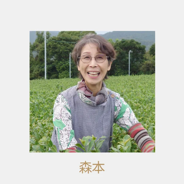 TÉ VERDE TOSTADO hojicha orgánico MIYAZAKI 100 g