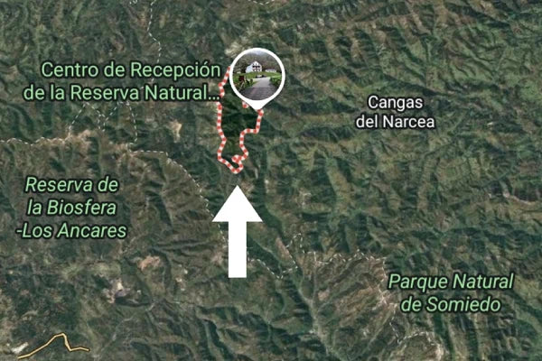 MIEL artesana FLOREZIENDO Asturias RESERVA NATURAL MUNIELLOS 2025