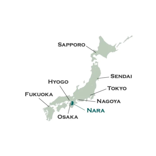TÉ VERDE JAPONÉS orgánico tostado hojicha zairai SUIKYO NARA 50 g