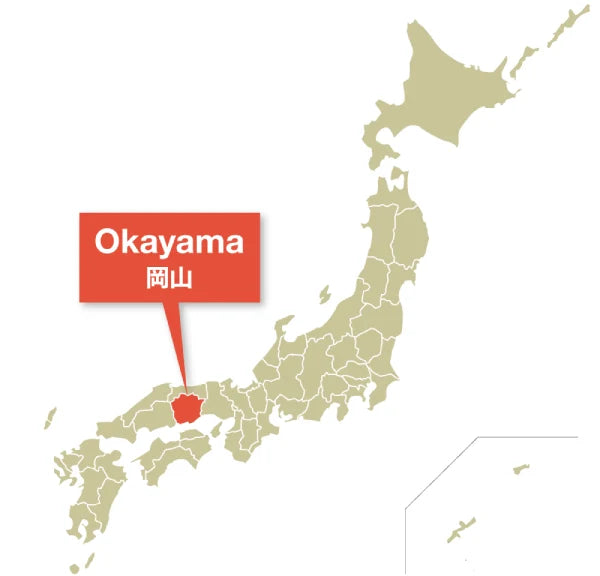 PREORDEN OGURA auténtica pasta de alubia roja azuki ANKO 300 g