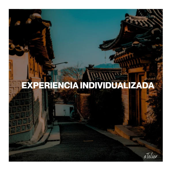SERVICIO exclusivo personalizado de asesoría y planificación viaje Japón TÉ AYUDO