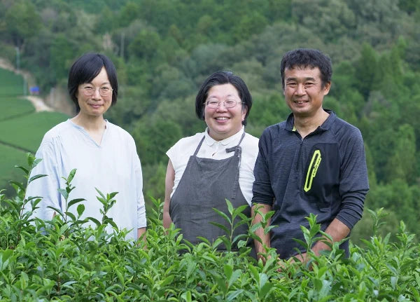 TÉ VERDE JAPONÉS orgánico tostado hojicha SUIKYO NARA 50 g