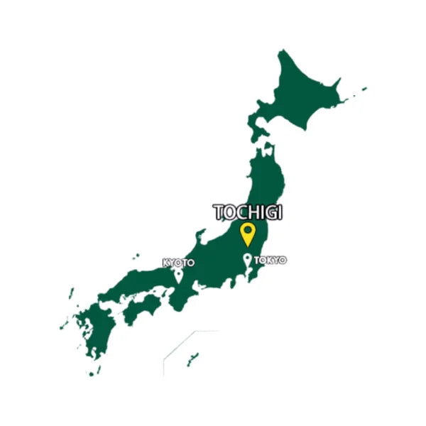 ORIGAMI auténtico papel japonés para papiroflexia UKIYOE HANAFUDA