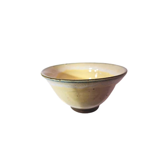 TOKONAME YAKI matcha chawan bol japonés cerámica FUMIICHI WATANABE 300 ml