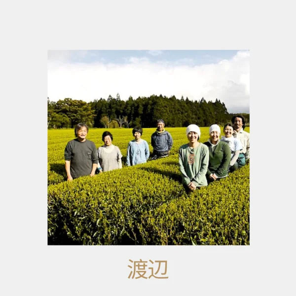 TÉ VERDE orgánico Yakushima Kabusecha WATANABE 100 g