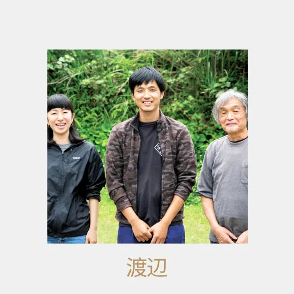 TÉ NEGRO JAPONÉS Yakushima wakocha 100 g MADURADO 24 MESES