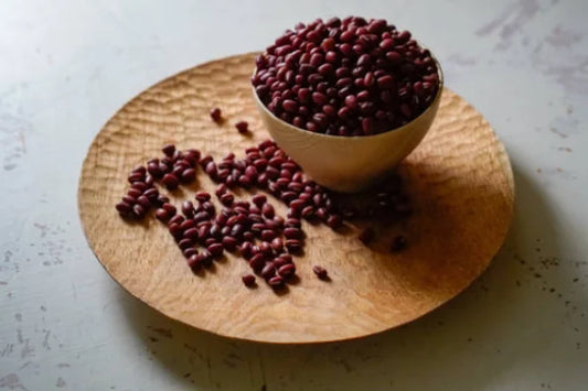 Alubia roja frijol azuki japonés Vigna Angularis