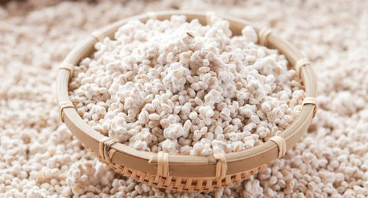 Descubre el hongo koji estrella de la cocina gastronomia japonesa