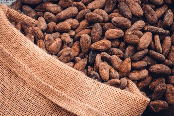 Descubre el delicioso sabor del chocolate artesano de origen calidad excepcional producto gourmet artesanal